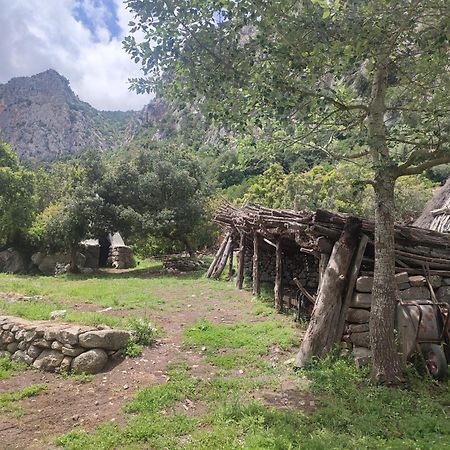 Appartamento Meduse Cala Gonone Kültér fotó